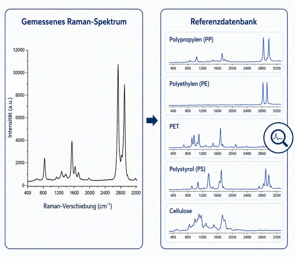 Klar2O Wasserlabor Grafik zur Mikroplastik-Analyse mit gemessenem Raman-Spektrum und Referenzdatenbank für Kunststoffarten wie PP, PE, PET und PS.